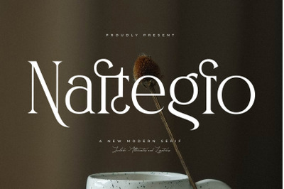 Naftegfo A New Modern Serif