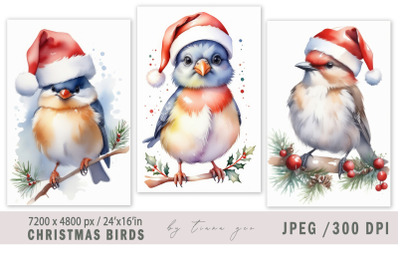 Cute Christmas bird illustrations for prints- 3 JPEG files