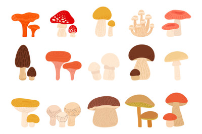 Isolated cartoon mushrooms, shiitake mushroom. Fungus and amanita, tru