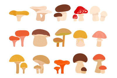 Cartoon forest mushrooms set. Toadstool mushroom, chanterelle, boletus