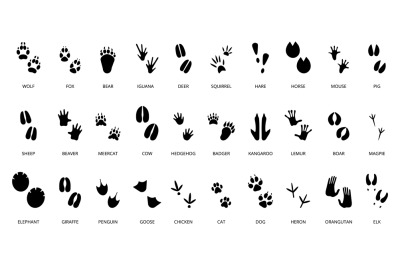 Black animal tracking footprints. Isolated wild animal paws prints, li