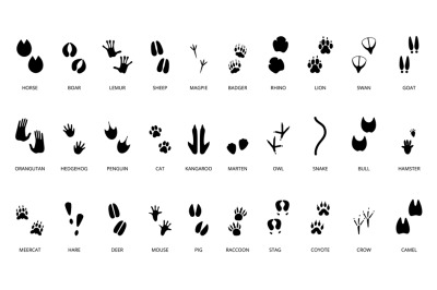 Animals steps black silhouettes. Wild animal&2C; birds and reptile footpr