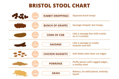 Bristol stool scale&2C; poop types infographic. Digestive problems medica