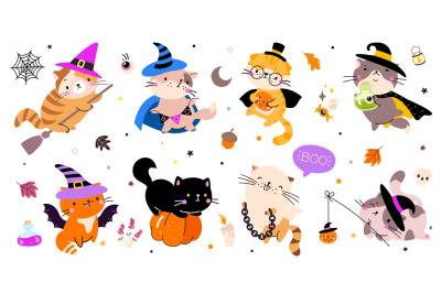 Halloween funny cats. Cute cat on pumpkin and broomstick, kitty ghost