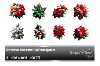 Christmas Poinsettia Graphics PNG