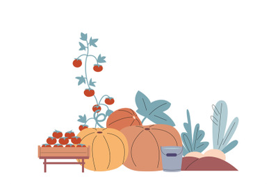 Harvest season graphic elements. Isolated pumpkins, tomatoes, plants.