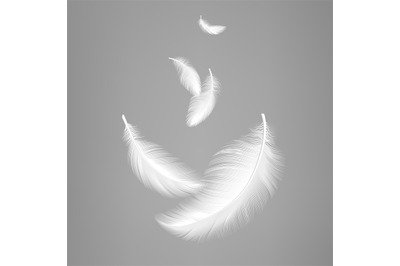 White flying realistic feathers. Bird feather composition, lightness e