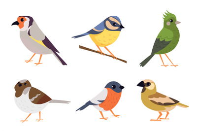 Birds. Cartoon flying animals colored birds exact vector collection