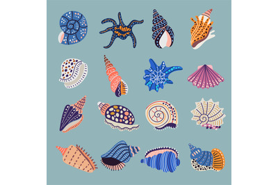 Seashell. Ornamental stylized illustrations of marine symbols doodle s