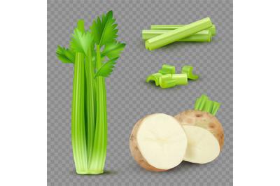 Realistic celery. Green vegan food celery sliced pieces and liquid smo