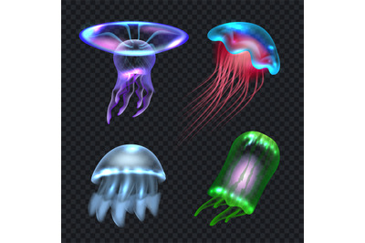 Jellyfish. Colored underwater realistic transparent jelly animals coll