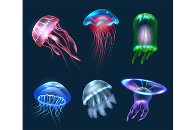 Fantasy jellyfish. Transparent underwater jellyfish collection decent