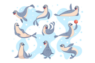 Polar seal. Wild sea swimming animals poses exact vector illustration