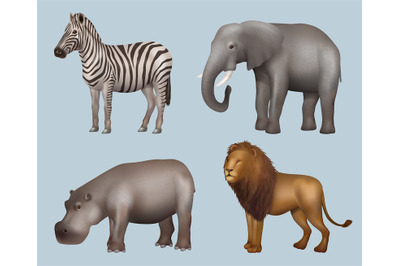 Africa animals. Realistic wild animals elephant giraffe lion Rhinocero