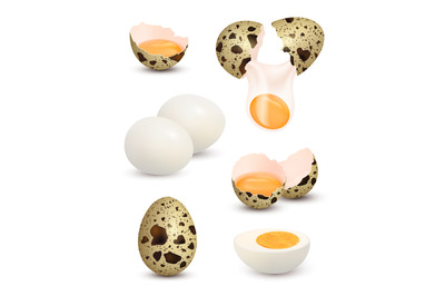 Quail eggs. Realistic templates of cracked eggs decent vector pictures