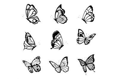 Black tattoo butterflies. Farfalle insects etching drawings, decorativ