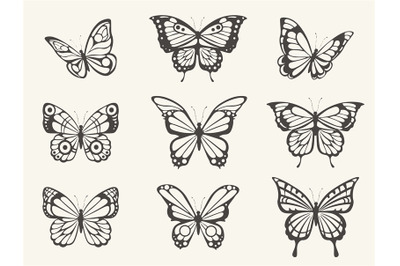 Hand drawn butterfly set. Vintage butterflies sketch&2C; moths insects re