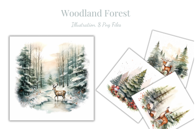 Woodland Forest Illustration Pack