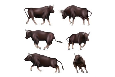 Bull. Animal in action poses aggressive business bull decent vector re