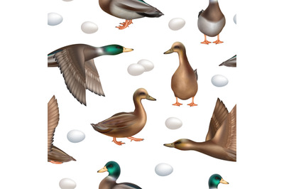 Ducks pattern. Seamless background with wild flying ducks decent vecto