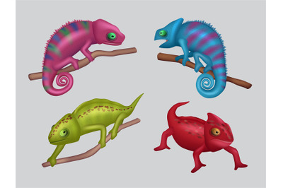 Chameleon. Realistic colored masked animals on branch decent vector wi