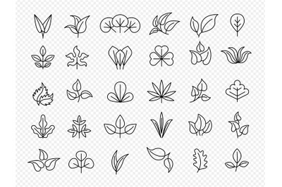 Leaf collection. Linear icons of natural leaf stylized templates recen