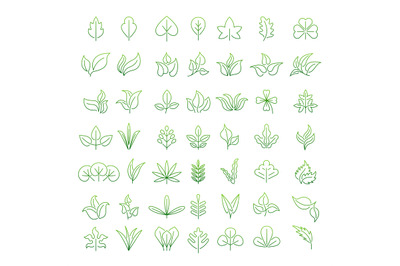 Leaf icon. Autumn or garden symbols stylized leaf pictures recent vect