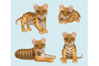 Tiger realistic. Wild aggressive big cat orange dangerous animal decen