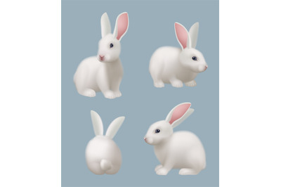 White rabbit. Science laboratory animal for experiments decent vector