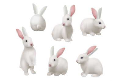 White rabbit. Animal in various poses in science laboratory decent vec