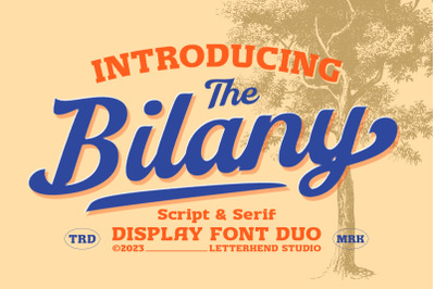 The Bilany - Display Font Duo