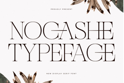 Nocashe  New Display Serif Font