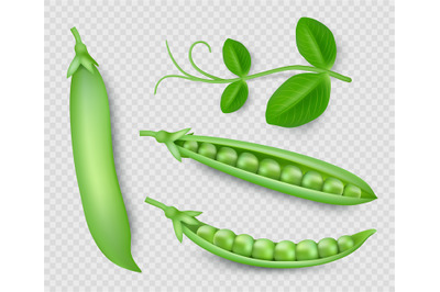 Green peas. Natural green healthy eco products green pea pods decent v