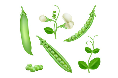 Green peas. Vegan natural food green pea pods healthy products decent