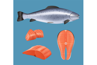 Salmon fillet. Realistic fish meat for gourmet restaurant menu natural