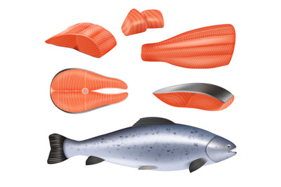 Salmon. Template of different pieces of realistic fish decent vector i