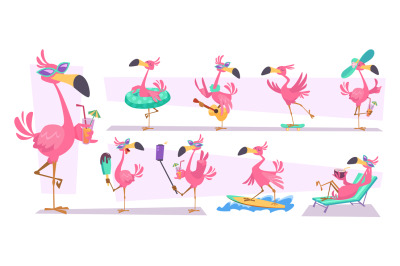 Flamingo. Pink cartoon birds exact vector tropical birds flying standi