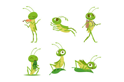 Grasshopper. Cute cartoon insects in action poses exact vector set of