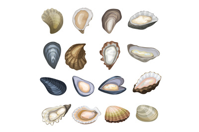 Oysters. Marine or ocean food exotic delicious shells recent vector ca