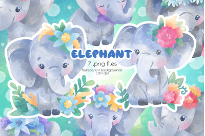 Elephant Clipart  - PNG Files