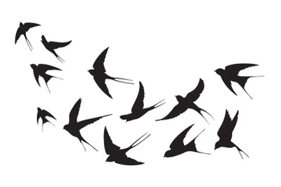 Flock of swallows. Silhouettes crowd flying birds away sky&2C; flyingof s