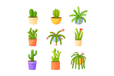 Cartoon home cacti in pots. Cactus plant, succulent flower, garden flo