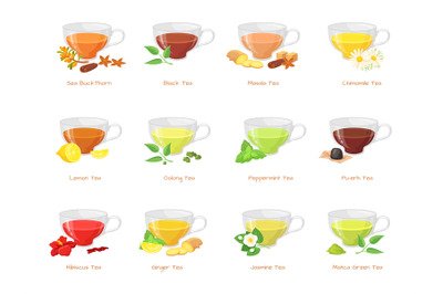 Herbal tea types. Different type green black teas, hot sugar drink in