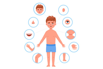 Kid body parts. Child anatomy human cutout part school boy organs bodi