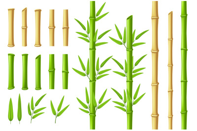 Bamboo stems and leaves. Zen garden verdant bamboo stick with 3D green