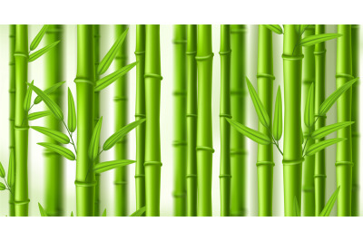 Bamboo background. Lush bamboo zen grove, natural green stems wall wit