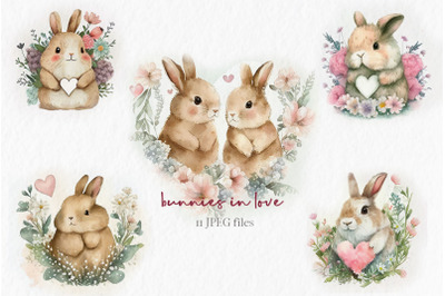 Valentine bunny happy valentines day