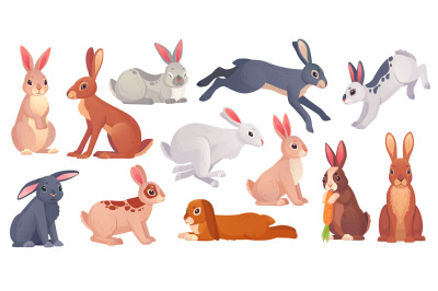 Cartoon hares poses. Wild spring gray hare with carrot&2C; cute bunny run