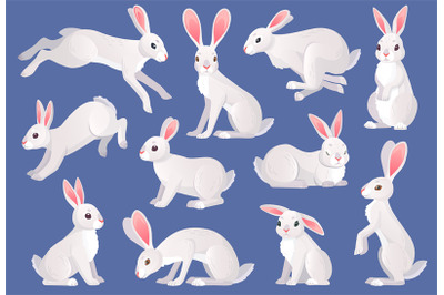 Snow hares. White furry hare or rabbit pets, wild spring bunny charact