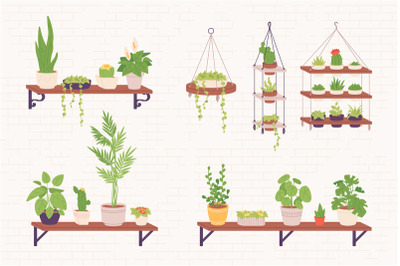 Houseplants shelves. Succulent houseplant stands shelf or hanging flow